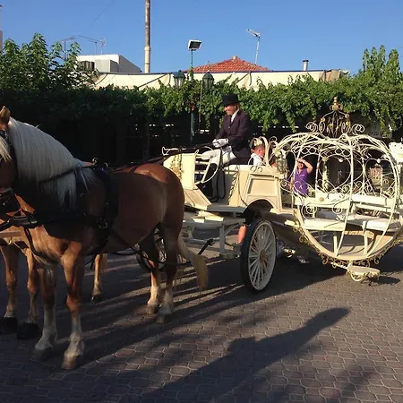 Arion Stables & Appartement