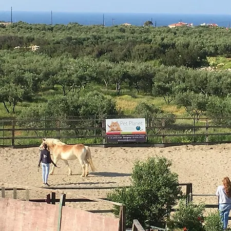 Arion Stables & * Hersónissos